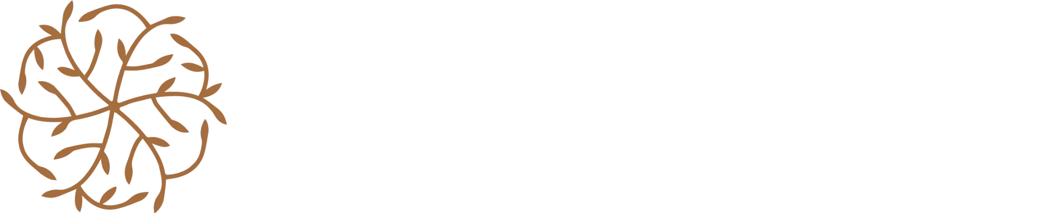 Vitality Healthcare Management